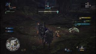 モンスターハンター：ワールド_20180929215912
