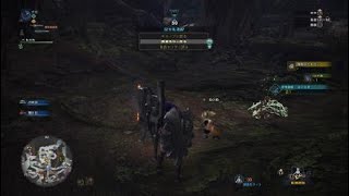 モンスターハンター：ワールド_20180929215912