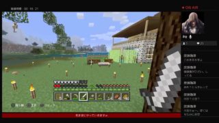 マインクラフト3ー17