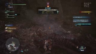 モンスターハンターワールド　76