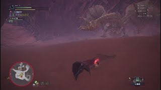 モンスターハンターワールド（下位の大型モンスター4頭狩猟してみた）