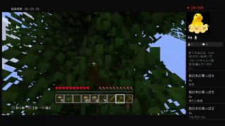 お子様がするマインクラフト　PS4