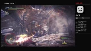 モンスターハンターワールド普通にプレイ