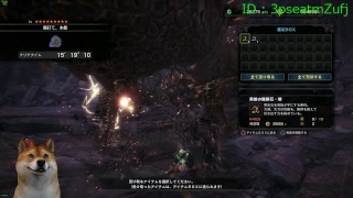 【PC版】モンスターハンターワールド MHW 歴戦イビル