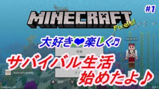 【りゅうのすけのマインクラフト】　サバイバル生活始めたよ！