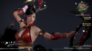 【真・三國無双８】練師#26(難易度・究極)