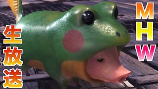 [MHW]モンスターハンターワールド全大型モンスター討伐企画！番外編！　のんびり生放送お～
