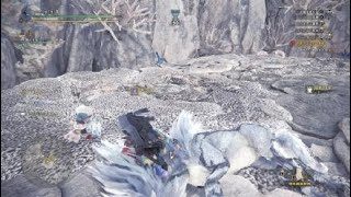 モンスターハンターワールド、歴戦試験キリンソロ