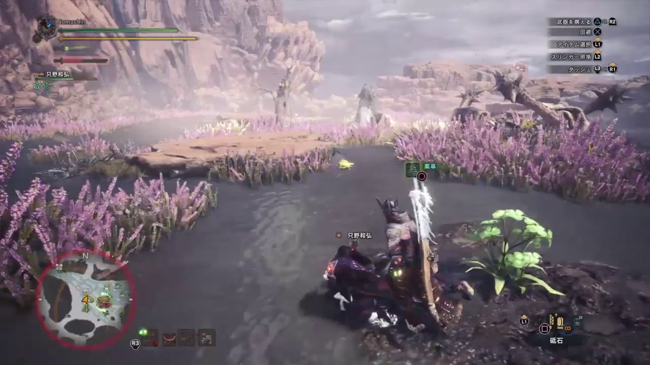 モンスターハンターワールド！