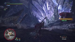 【MHW】初心者が逝く‼モンスターハンターワールド‼【歴戦王クシャルダオラ】