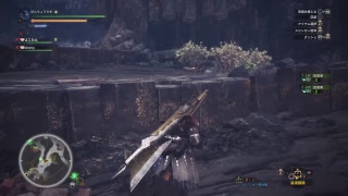 (1080p60HD)高画質！モンスターハンター：ワールド#46