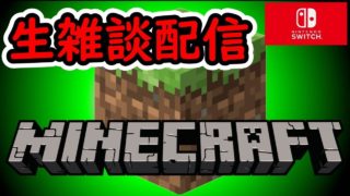 【マイクラ】10時まで雑談配信【マインクラフト/Minecraft】