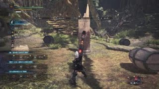 モンスターハンターワールド　大剣　儀式2