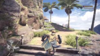 モンスターハンターワールド　16