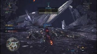 モンスターハンター：ワールド_歴戦王クシャルダオラソロ