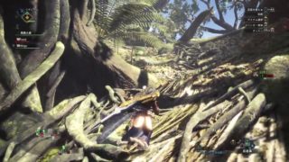 モンスターハンターワールド　66
