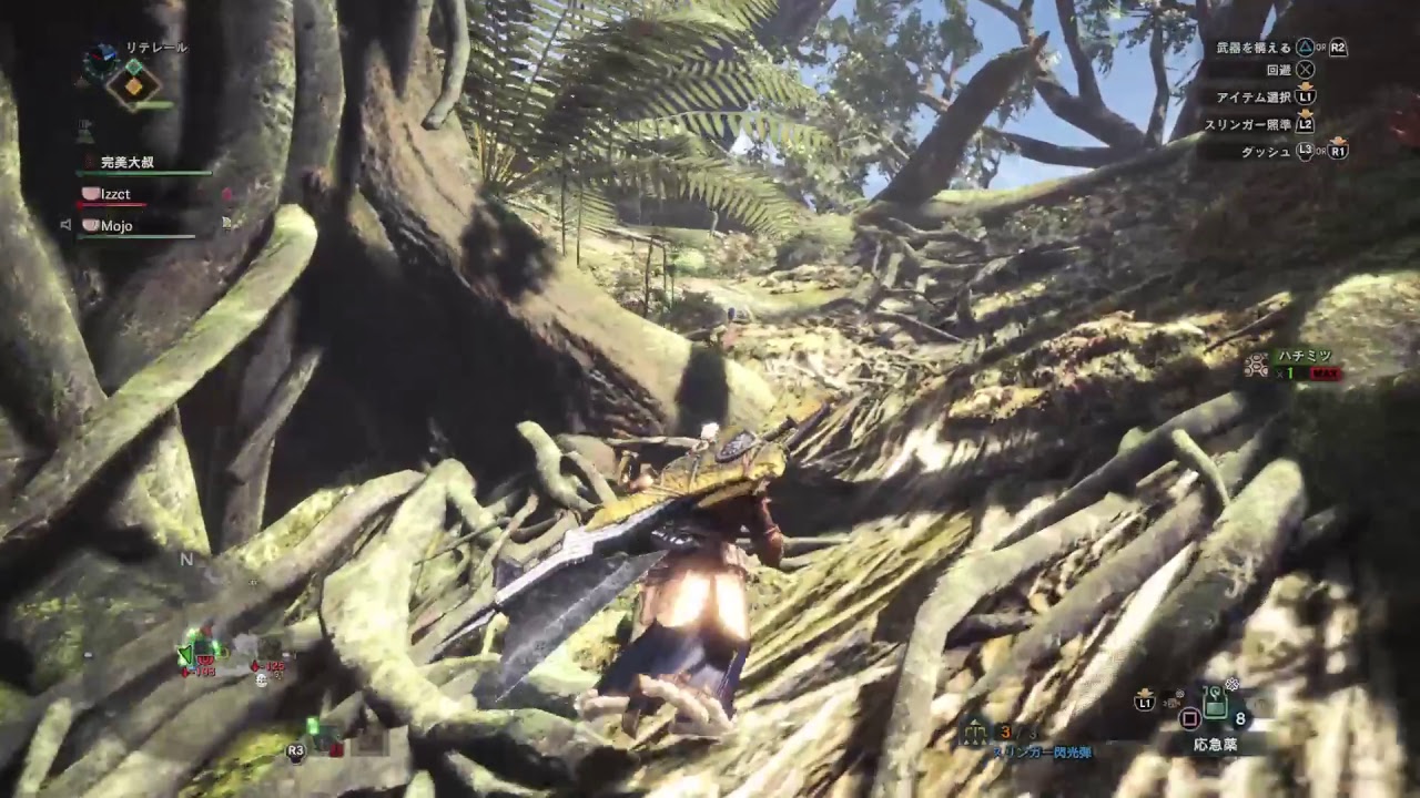 モンスターハンターワールド　66