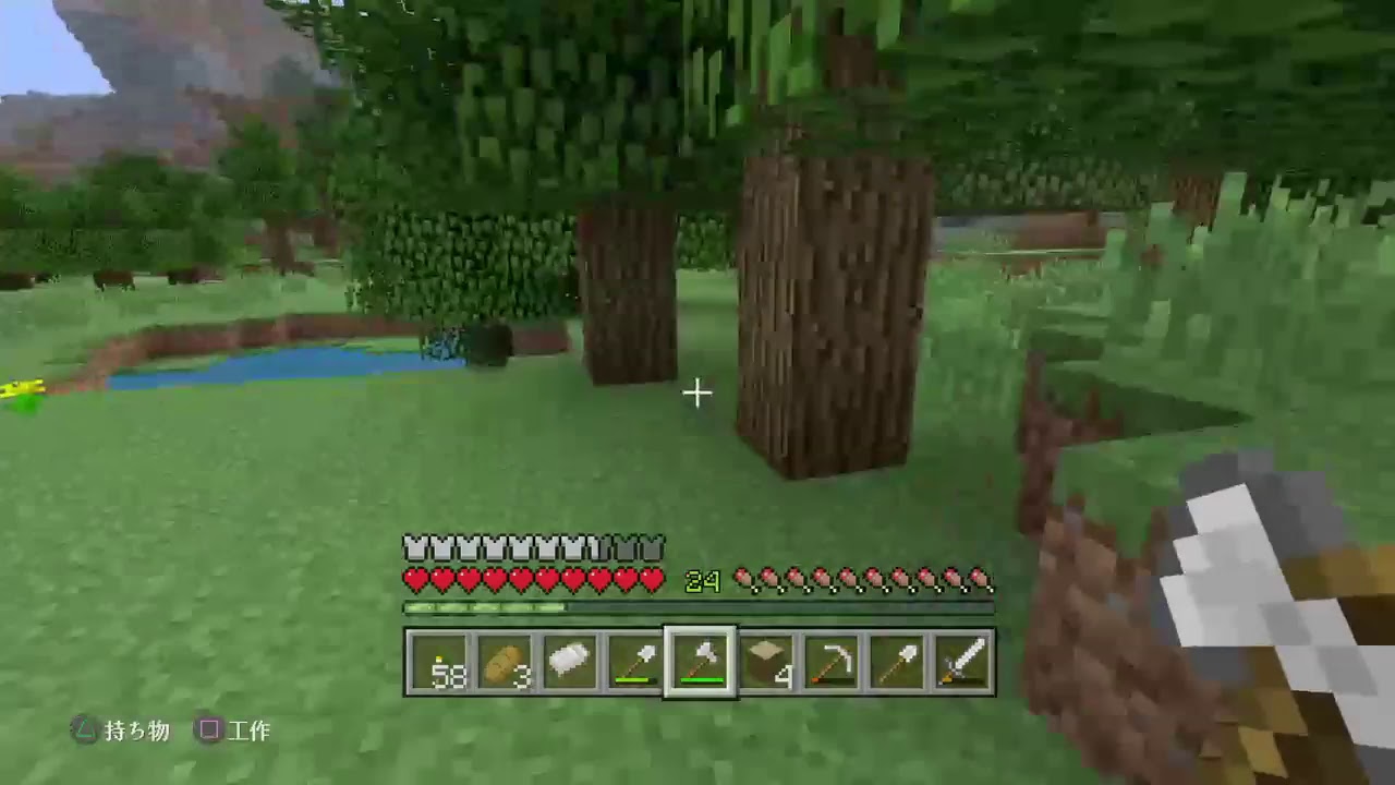 [マインクラフト PS4]廃坑&整地！フレンドさんは参加あり！