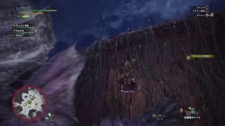 モンスターハンターワールド　59