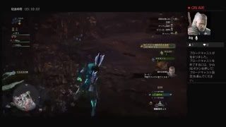 モンスターハンターワールド　超初心者がやってみます。