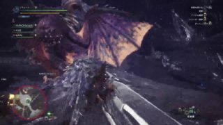 モンスターハンターワールド　94