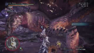 モンスターハンターワールド　操虫棍