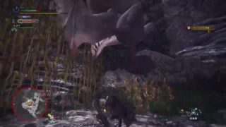 モンスターハンターワールド　始めから　太刀ソロ編　女性剣士パート