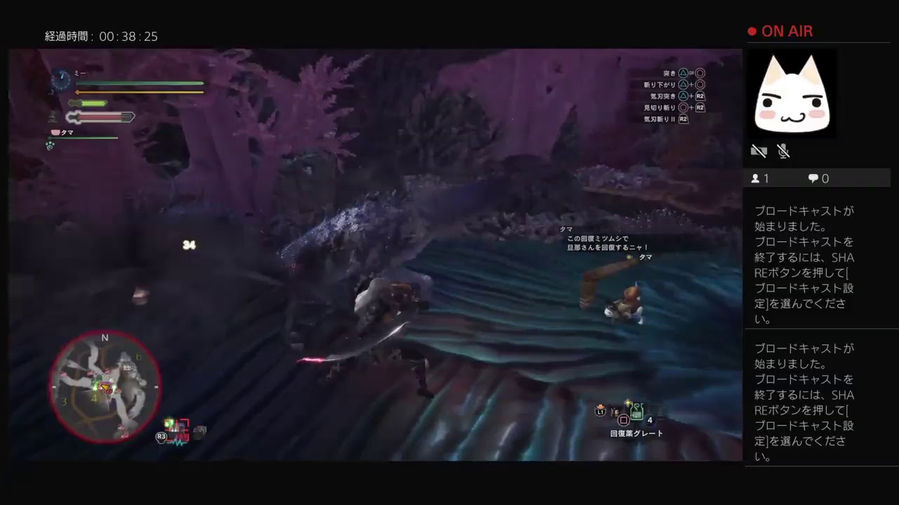 モンスターハンターワールド　始めから　太刀ソロ編　女性剣士パート