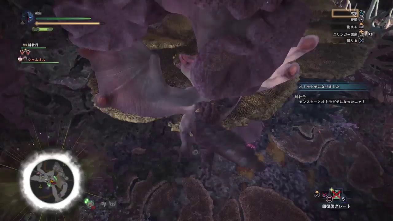 [ モンスターハンター：ワールド ] ツィツィヤック・パオウルムー