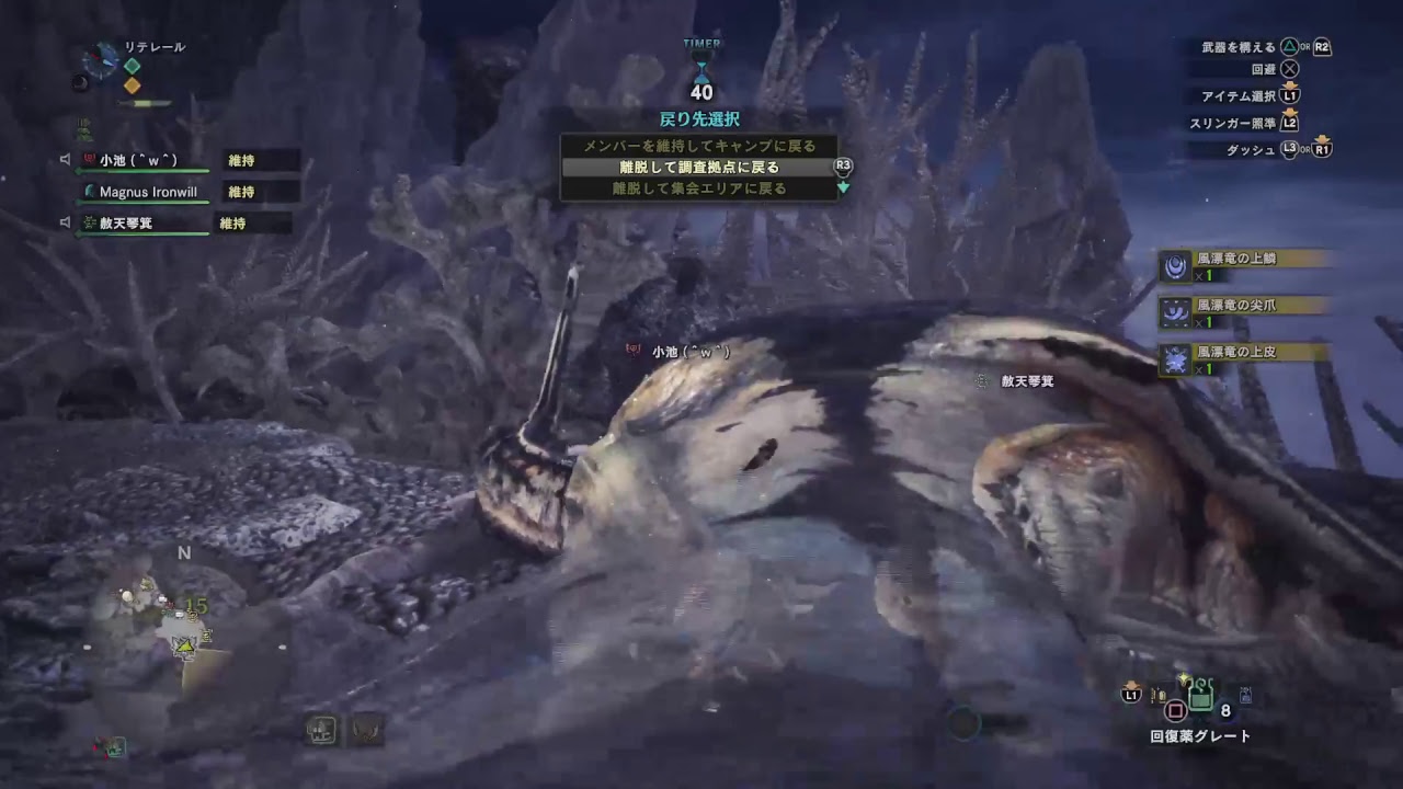 モンスターハンターワールド　71