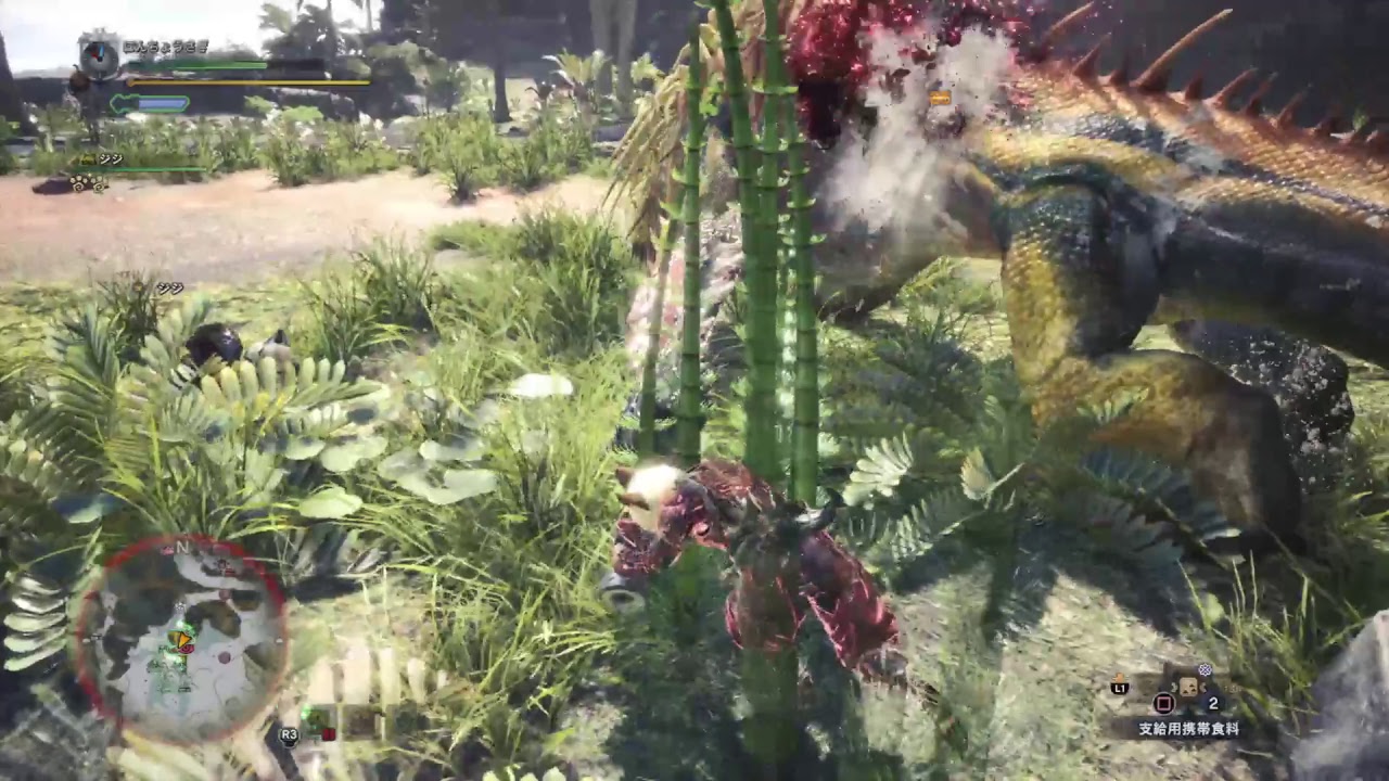 (1080p60HD)高画質！モンスターハンター：ワールド#32