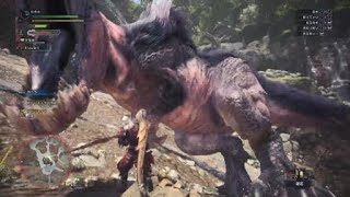 アンジャナフ尻尾切り　モンスターハンター：ワールド_20180903161942