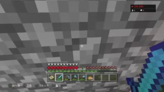 [マインクラフト]サバイバル！参加型
