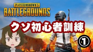 【初心者PUBG実況】訓練にもなってないよこの動画【Vtuber】
