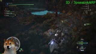 【PC版】モンスターハンターワールド MHW 適当にクエ参加