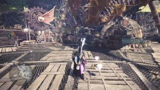 モンスターハンター：ワールド　クシャ王　ドキドキしすぎで怖かったです