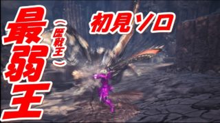 【MHW実況】こいつに勝てない奴おります？初見ソロ（モンスターハンターワールド）