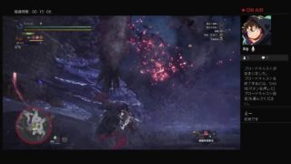 ［MHW]ひたすらHR上げ！モンスターハンターワールド