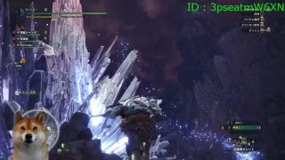 【PC版】モンスターハンターワールド MHW 歴戦古龍