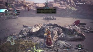 モンスターハンターワールド　50