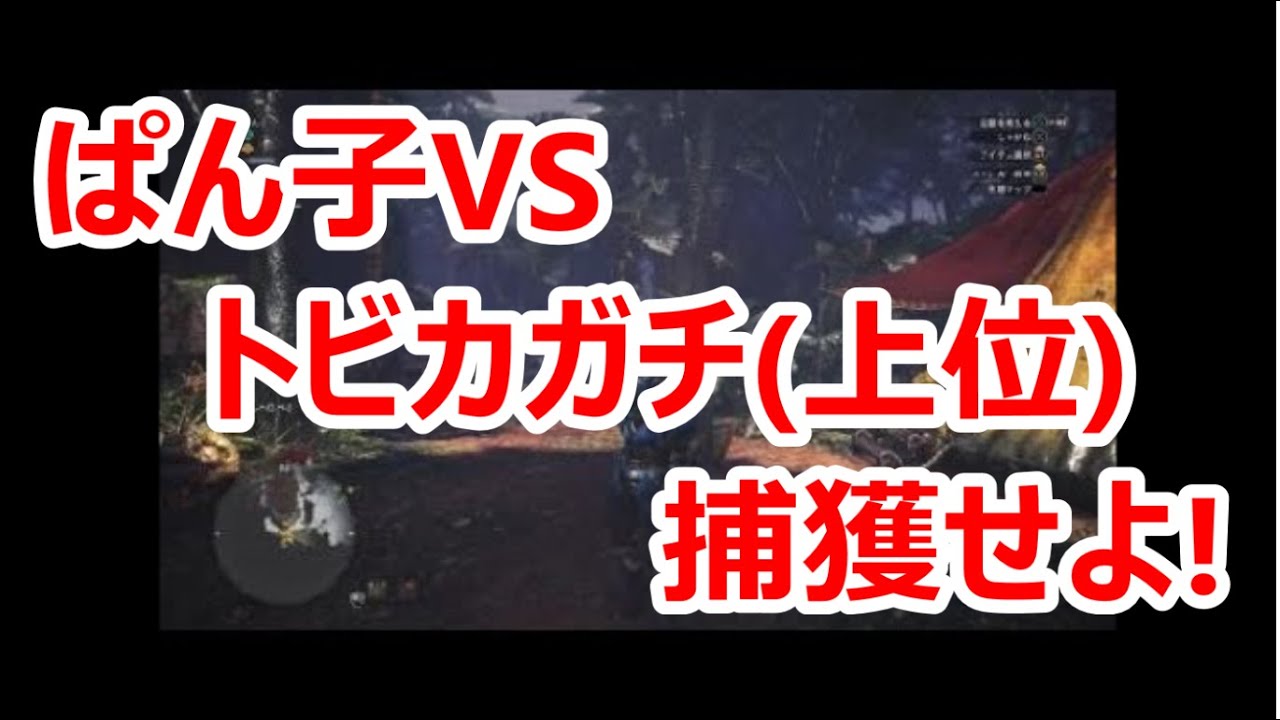 【実況】第1回ぶりの戦い【モンスターハンター：ワールド#37】