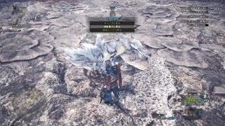 モンスターハンター：ワールド_20180928060926