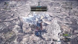 モンスターハンター：ワールド_20180928060926