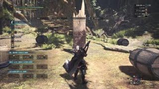 モンスターハンターワールド　大剣　儀式1