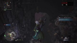 【モンスターハンターワールド】MHW　明日朝早いので、蜘蛛男は休み。雑談。採取。お手伝いetc....