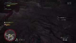 (1080p60HD)高画質！モンスターハンター：ワールド#22