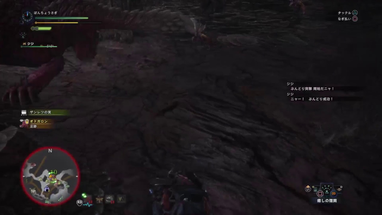 (1080p60HD)高画質！モンスターハンター：ワールド#22