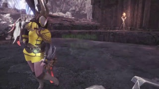 [モンスターハンター：ワールド]part6