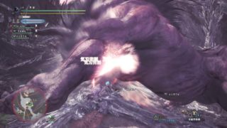 モンスターハンター：ワールド_20180908231023
