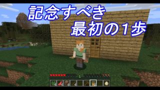 【マインクラフト】初心者でも理想の国を目指したい